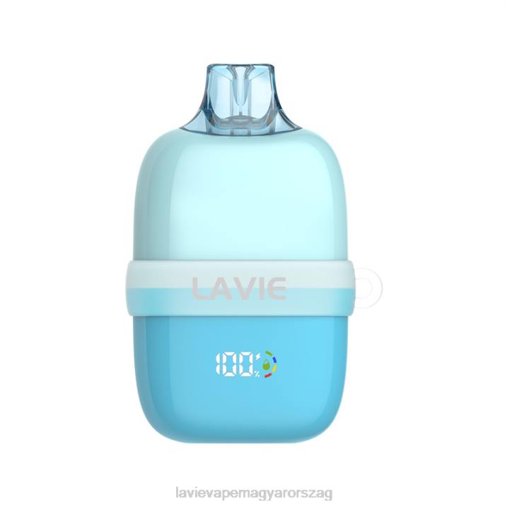 BJV085 Lavie Vape Review | áfonyás jég LAVIE INSIDER 12000 fújás